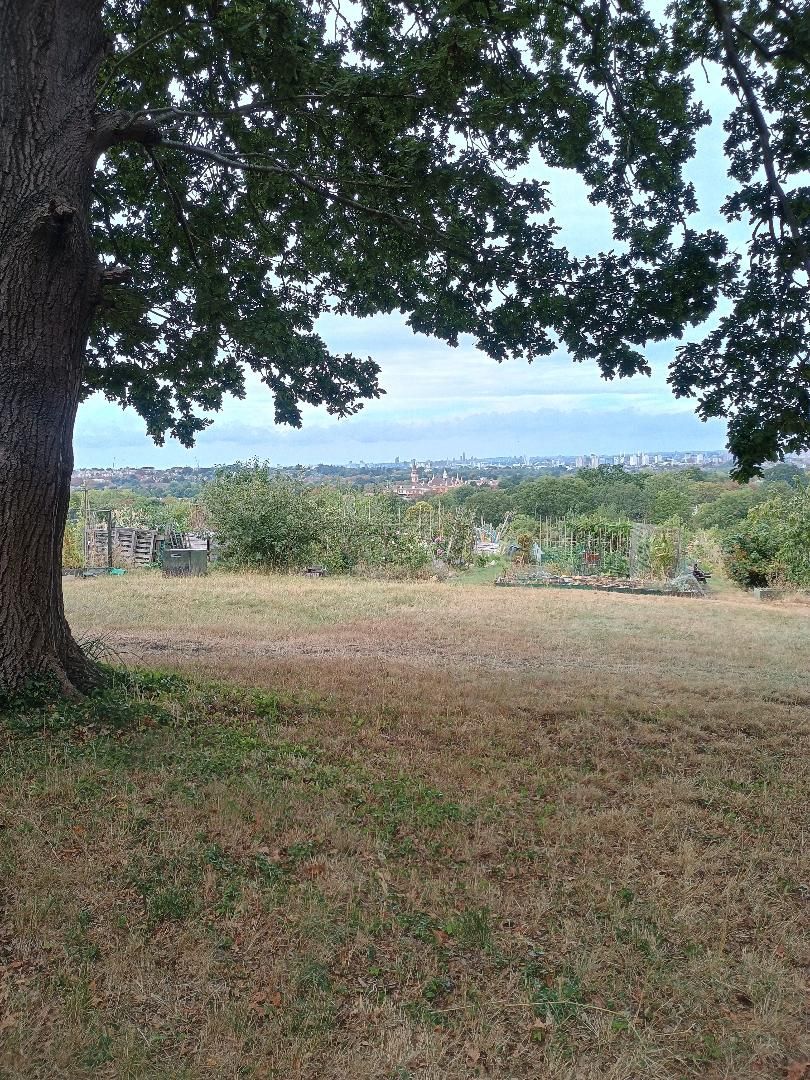 View from Dulwich Woods